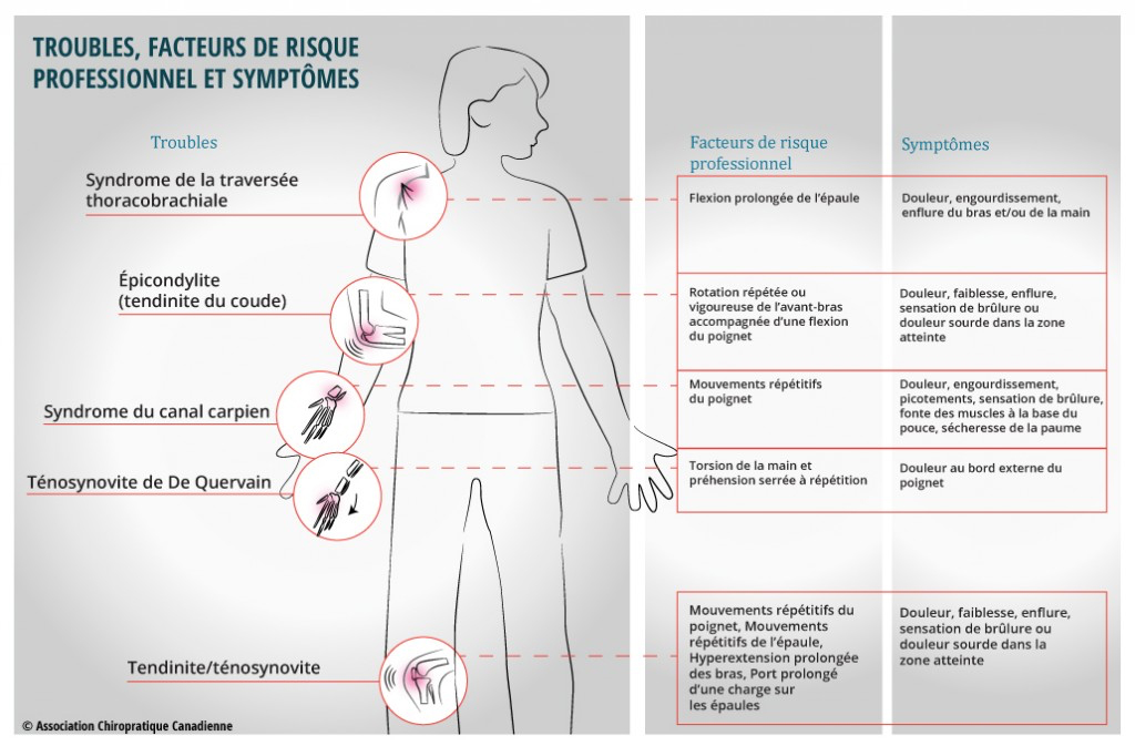 L&rsquo;importance d&rsquo;une conscience active quotidienne sur la santé de votre système neuro-musculo-squelettique!