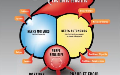 Sensation VS Fonction